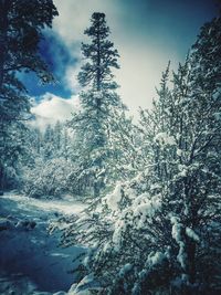 Scenic view of snow covered landscape