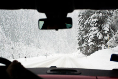 Winter snowy scenery inside the car. spruce trees after snowfall. winter escape, local tourism