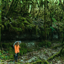 Little girl lost in a dark and disturbing forest