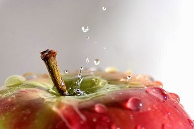 Close-up of water drops on apple