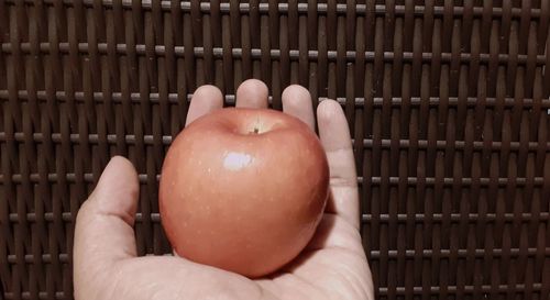 Close-up of hand holding apple