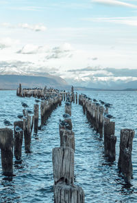 Wooden posts in sea against sky