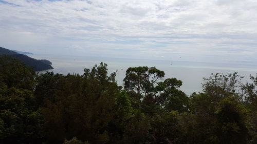 Scenic view of trees against sky