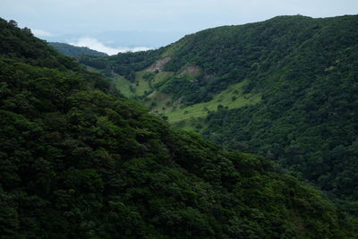 Scenic view of mountains