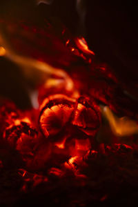 Full frame shot of fire