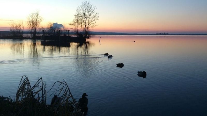 Steinhude-am-Meer.de