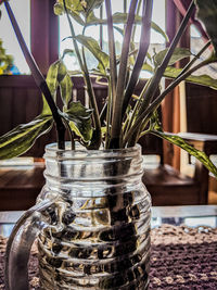 Close-up of potted plants in glass jar on table