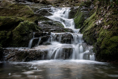 Scenic view of waterfall in forest