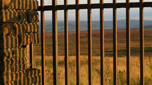 Close-up of metal fence