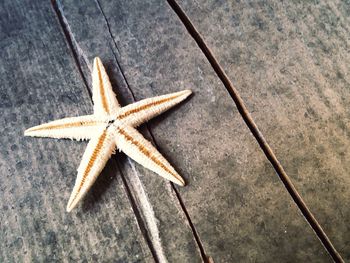 High angle view of christmas decorations on wood