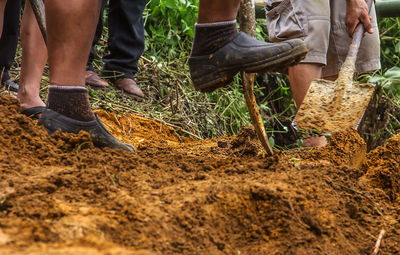 Low section of people working on field