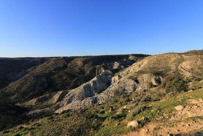 environment