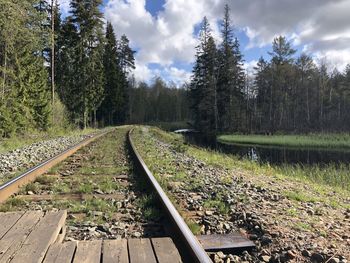 Railroad tracks along trees and plants