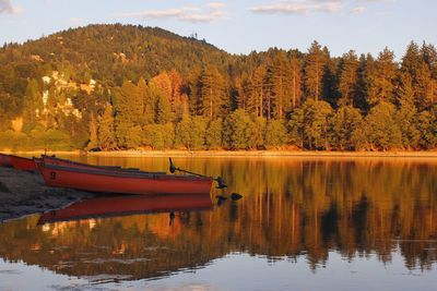 Scenic view of lake by trees during autumn