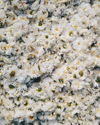 Pile of flowers at a local flower market in chandni chowk, new delhi. 