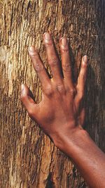 Close-up of human hand on tree trunk