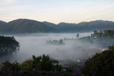 Scenic view of trees and mountains against sky