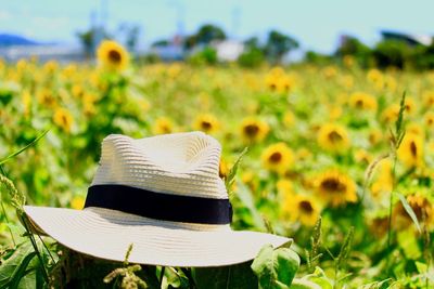 Close-up of hat on field against sky