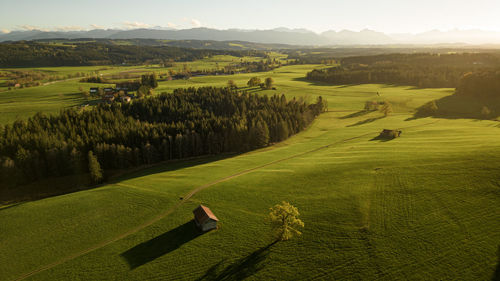 Drone shot of the alps in the sunset with tiny cabin and tree