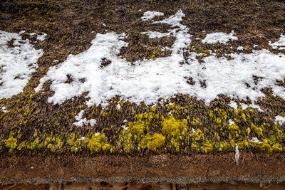 High angle view of snow on land