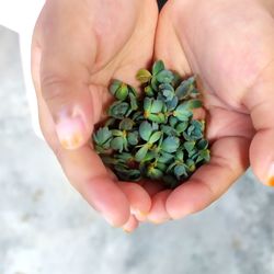 Close-up of person holding hands