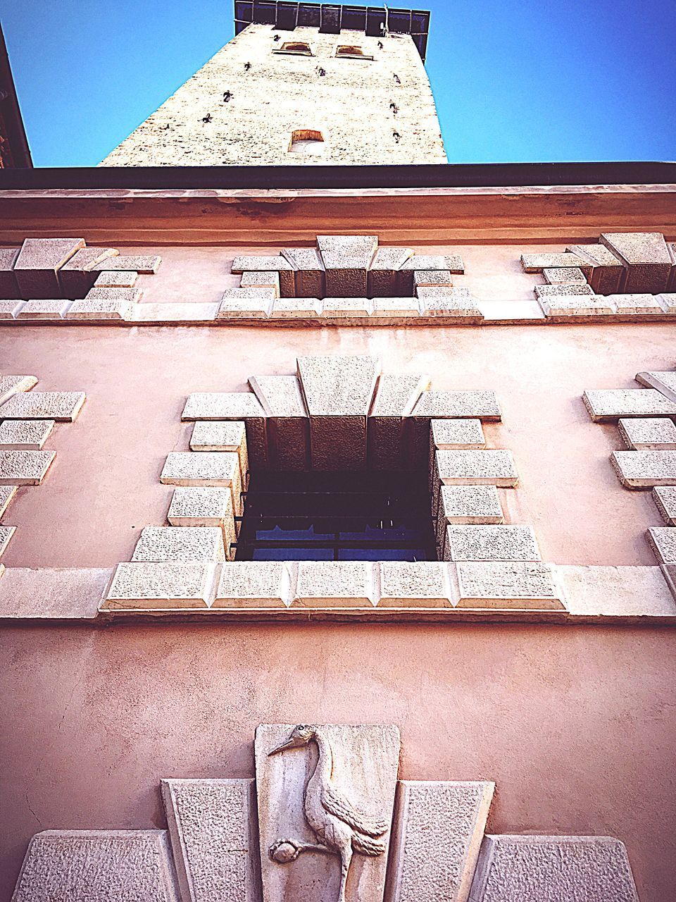 LOW ANGLE VIEW OF BUILDING