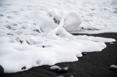 Close-up of snow covered land