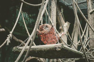 Close-up of rope tied on boat