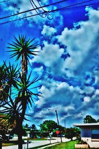 Low angle view of palm trees against cloudy sky