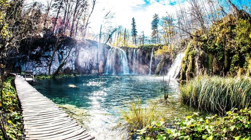 Scenic view of waterfall in forest