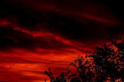 Low angle view of silhouette trees against dramatic sky