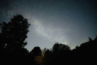 Low angle view of silhouette trees against sky at night