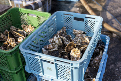 High angle view of food for sale