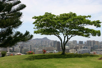 Buildings in city