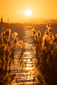 Scenic view of sea against sky during sunset