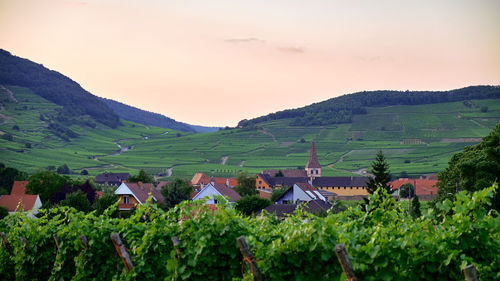 Scenic view of agricultural field by mountains against sky