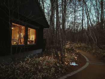 Road amidst bare trees in forest