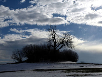 Bare trees on snow field against sky during winter