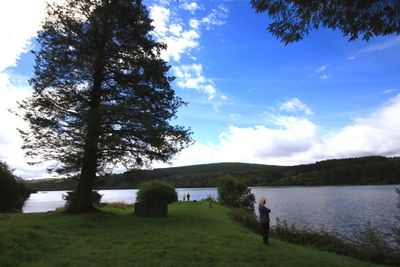 Scenic view of tree against sky