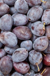 Full frame shot of blueberries