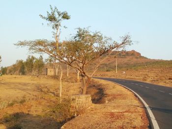 Road amidst trees on field against sky