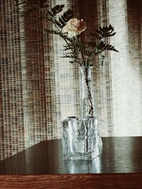 Close-up of flowers in vase