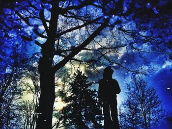Low angle view of silhouette trees against sky