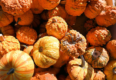 Full frame shot of pumpkins at market