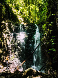 Scenic view of waterfall in forest