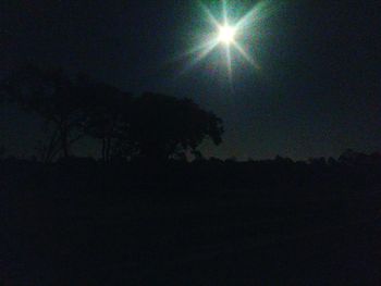 Low angle view of silhouette trees against sky at night