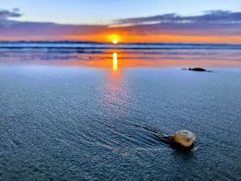 Scenic view of sea during sunset