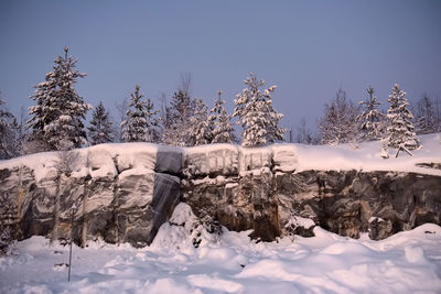 Trees on snow covered field against sky