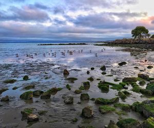 Scenic view of sea against cloudy sky