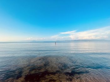 horizon